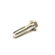 Bolt: M12 x 65mm - Plated
